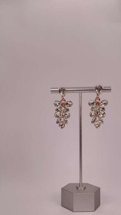 Aira Pearl - White Pear Stone Earring